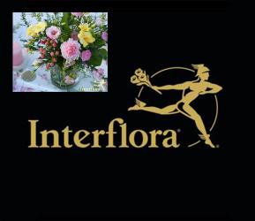 Interflora Vaasa | Tarjoukset & Alennukset