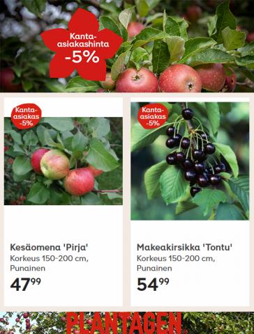 Plantagen -luettelo, Tampere | Hedelmäpuut -5% | 13.6.2022 - 26.6.2022