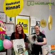 Musti ja Mirri Dixi -luettelo, Vantaa | Haukutut hinnat | 20.3.2023 - 7.4.2023