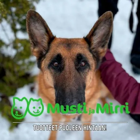 Musti ja Mirri Helsinki - Viikintori 3 | Tarjoukset & Aukioloajat