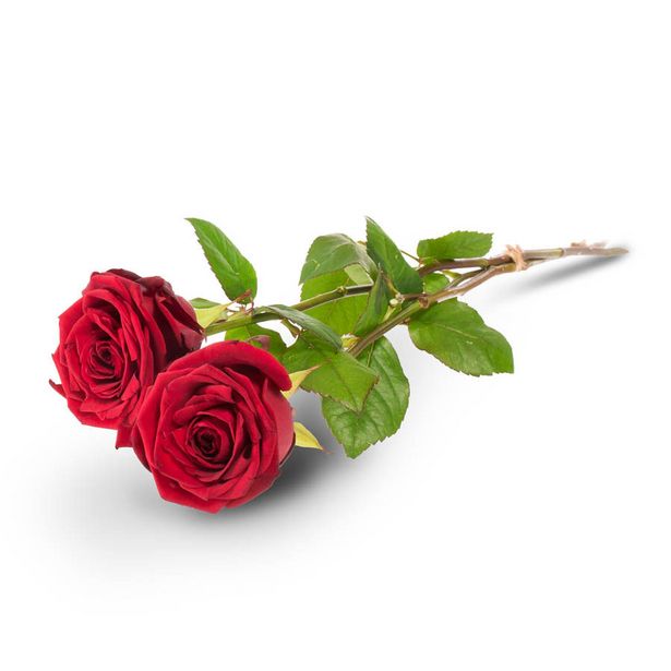 Kaksi punaista ruusua -tarjous hintaan 22€
