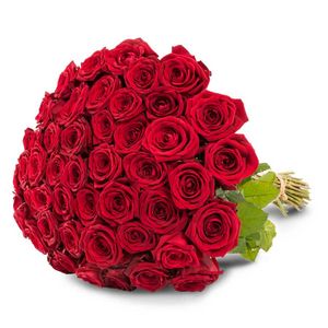 50 punaista ruusua tuote hintaan 429€ liikkeestä Interflora