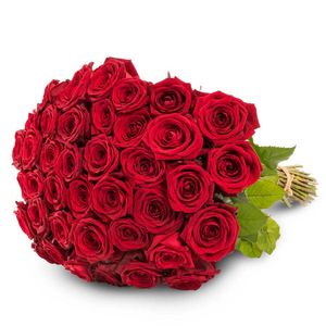 40 punaista ruusua tuote hintaan 344€ liikkeestä Interflora