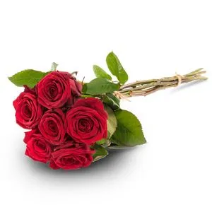 Kuusi punaista ruusua tuote hintaan 62€ liikkeestä Interflora