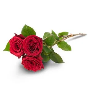 Kolme punaista ruusua tuote hintaan 34€ liikkeestä Interflora