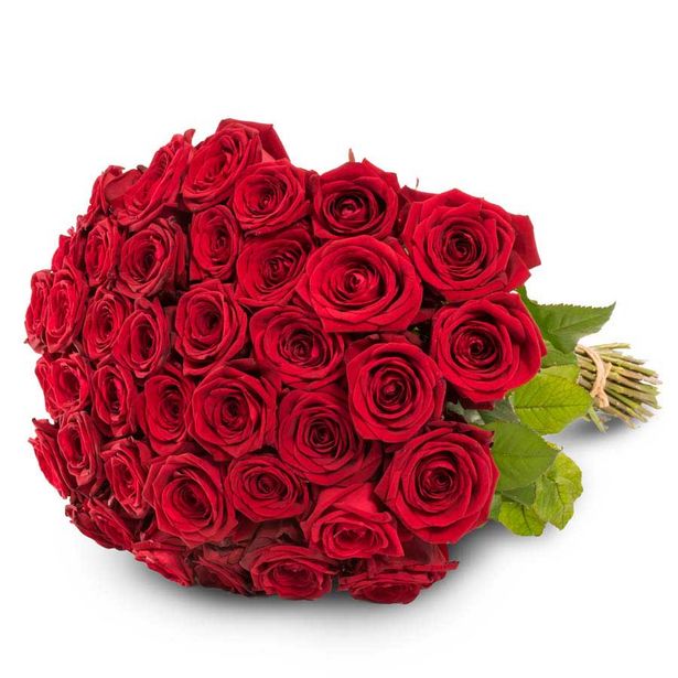 40 punaista ruusua -tarjous hintaan 286€