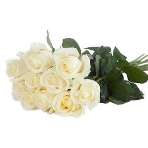 Kymmenen valkoista ruusua tuote hintaan 66€ liikkeestä Interflora