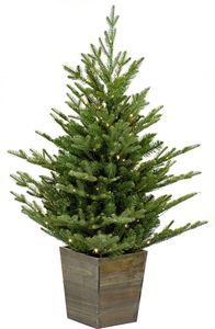 Our Nordic Christmas Nordman -aidonnäköinen joulukuusi puisessa ruukussa, 100 LED-valoa, 90 cm tuote hintaan 99,99€ liikkeestä Verkkokauppa