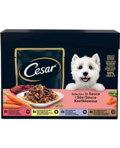 Cesar 24 X 100 G Del Fresh Mix Paloja Kastikkeessa Annospussi Koiralle tuote hintaan 12,9€ liikkeestä Kärkkäinen