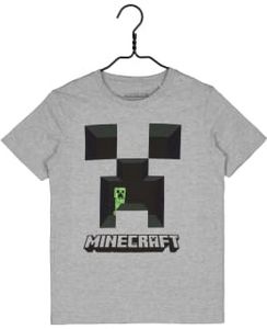 Minecraft Lasten T-paita tuote hintaan 12,9€ liikkeestä Kärkkäinen